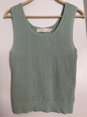 Lizette Collection Light Mint Sparkle Knit Tank Top by